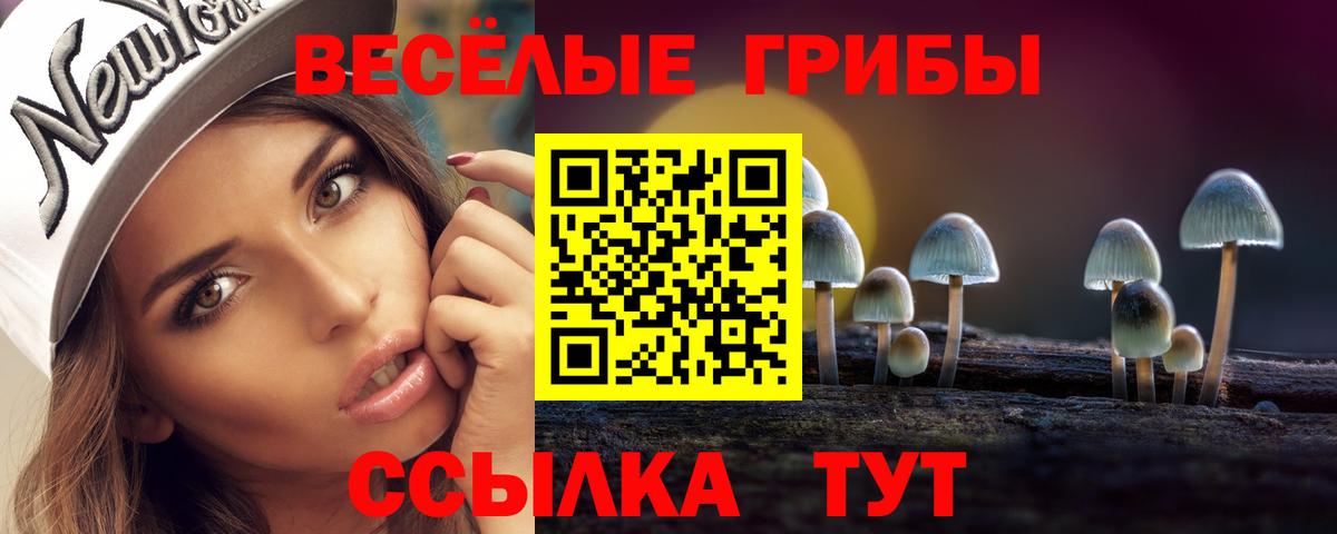 где найти наркотики  Галлюциногенные грибы мухоморы  Вход с VPN  Городец 